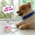 Weruva BFF Dog Fun Size Meals Wanna Be Withya Chicken Dog Food 2.75oz - Poudre Pet & Feed Supply 3